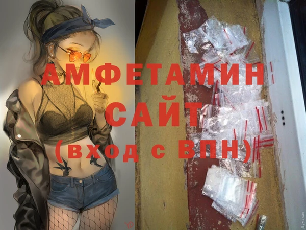 индика Алзамай
