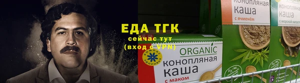 индика Алзамай