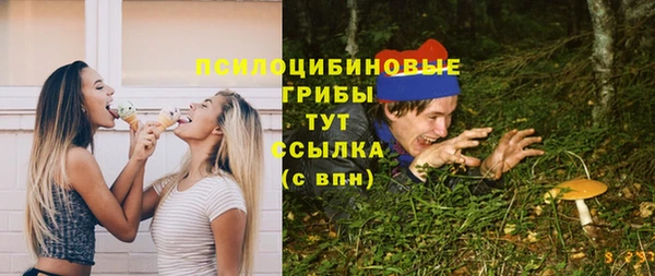СК Алексин