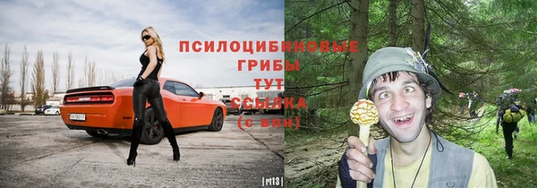 СК Алексин