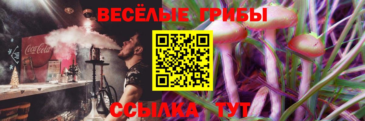 Псилоцибиновые грибы ЛСД Осинники